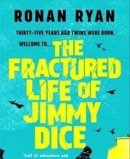 The Fractured Life of Jimmy Dice - Ronan Ryan