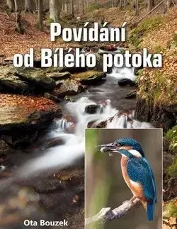 Povídání od Bílého potoka - Ota Bouzek