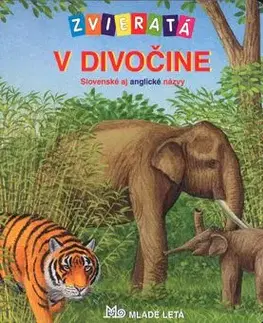 Zvieratá v divočine-Slovenské aj anglické názvy