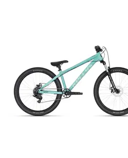 Kellys WHIP 10 DX 26" - model 2025 Mineral Teal - L (13", 170-190 cm)