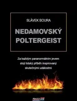 Nedamovský poltergeist - Slávek Boura