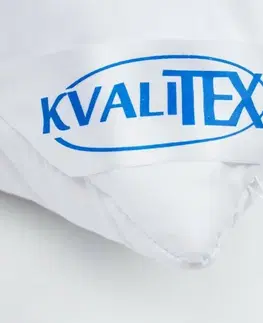 Kvalitex Vankúš Aloe Vera so zipsom 700 g, 70 × 90 cm, 700 g