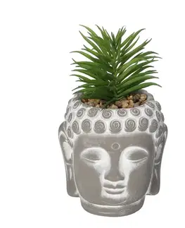 Dekoria Dekorácie Succulent I Buddha 17cm, 10 x 10 x 17 cm