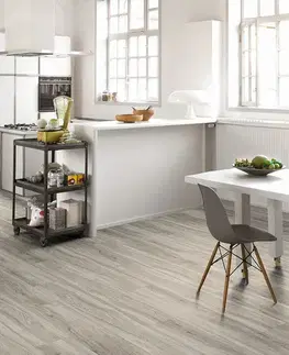 PARADOR Basic 30 Dub pastelovo sivý štruktúra dreva 1513441