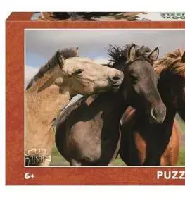 Puzzle Farebné kone 300 XL Dino