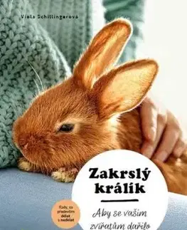 Zakrslý králík - Viola Schillingerová