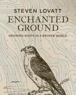 Enchanted Ground - Steven Lovatt