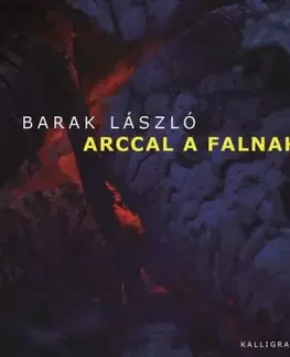 Arccal a falnak - László Barak