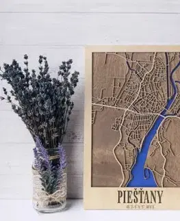 3D mapa mesta Piešťany (20 x 30 cm) - Interess
