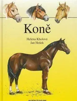 Koně - Helena Kholová
