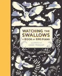 Watching the Swallows - Harry Tennant