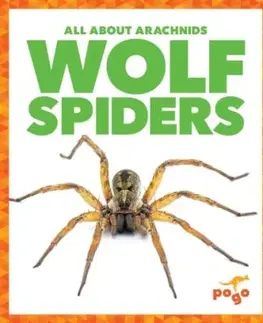 Wolf Spiders - Becca Becker