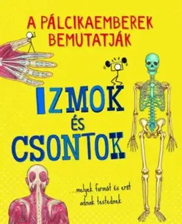 A pálcikaemberek bemutatják - Izmok és csontok