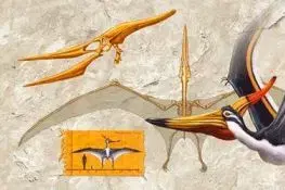(C) 3D panoráma Pteranodon