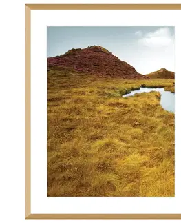 Dekoria Obraz Grassy Field I 40x50cm, 40x50cm