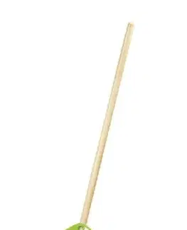 Kinekus Hrable detské plastové, drevená násada, zelené, 21x71cm