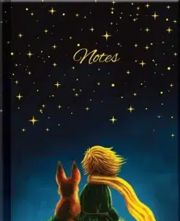 Notes Malý princ