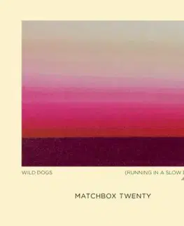 Matchbox Twenty - Where The Light Goes LP - Matchbox Twenty