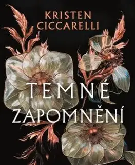 Temné zapomnění - Kristen Ciccarelli