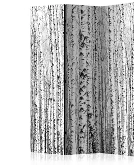 Paraván Birch forest Dekorhome