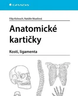 Anatomické kartičky - Kosti, ligamenta - Filip Kolouch, Natálie Musilová