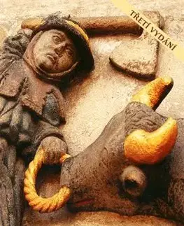 Páni z Pernštejna, 3. vydání - Petr Vorel