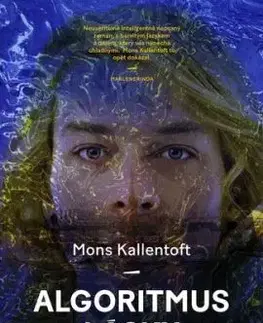 Algoritmus lásky - Mons Kallentoft