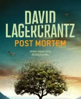 Post mortem - David Lagercrantz