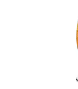 Tescoma pohár na pivo CREMA 300 ml