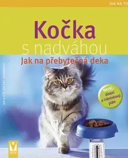 Kočka s nadváhou - Jak na přebytečná deka - Brigitte Eilert-Overbeck