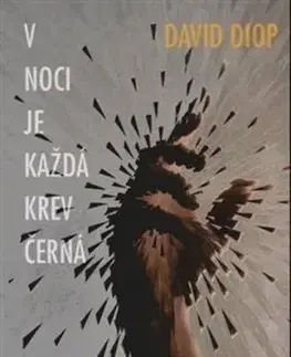 V noci je každá krev černá - David Diop
