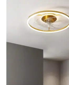 BRILAGI - LED stmievateľný stropný látor LED/66W/230V 55 cm biela/zlatá + diaľkové ovládanie WF-OSD-177-GLD