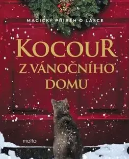 Kocour z vánočního domu - Lili Hayward
