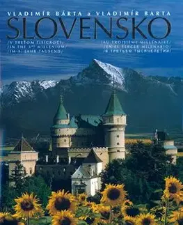 Slovensko v treťom tisícročí - Vladimír Bárta