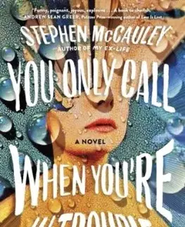 You Only Call When You're in Trouble - Stephen McCauley
