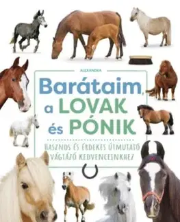 Barátaim, a lovak és pónik