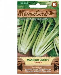 Mangold listový Lucullus, zelený
