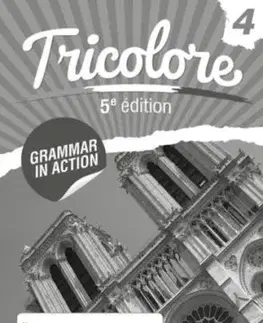 Tricolore Grammar in Action 4 (8 Pack) - Heather Mascie-Taylor