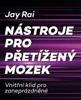 Nástroje pro přetížený mozek - Jay Rai
