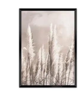 Dekoria Obrázok Grass, 30 x 40 cm 