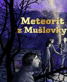 Meteorit z Mušlovky - Audiokniha CD - Veronika Valentová