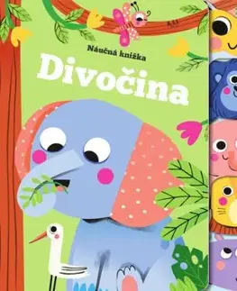 Divočina