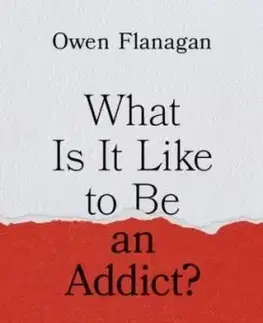 What Is It Like to Be an Addict? - Owen Flanagan