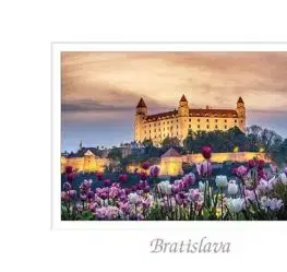 (A6) Pohľadnica A6 Bratislava XLIV (Tulipány) - tvorme s.r.o.