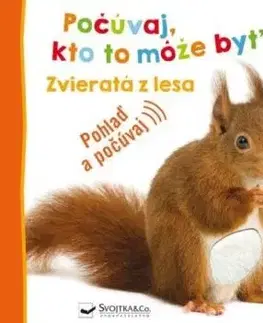 Zvieratá z lesa - Počúvaj, kto to môže byť?