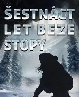 Šestnáct let beze stopy - Gillian French