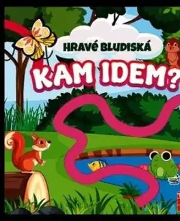 Hravé bludiská - Kam idem?