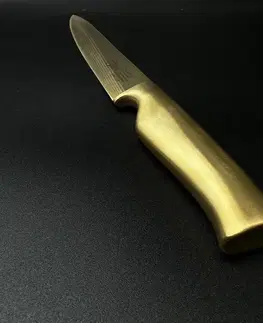 IVO Nárezový nôž na šunku IVO ViRTU GOLD 20 cm 39151.20