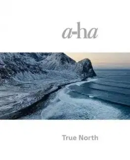 A-ha - True North (Premium Edition Hardcoverbook 40 Inner Pages) 2LP+CD+USB card - A-HA