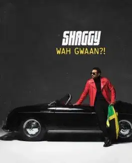 Shaggy - Wah Gwaan ?! 2LP - Shaggy